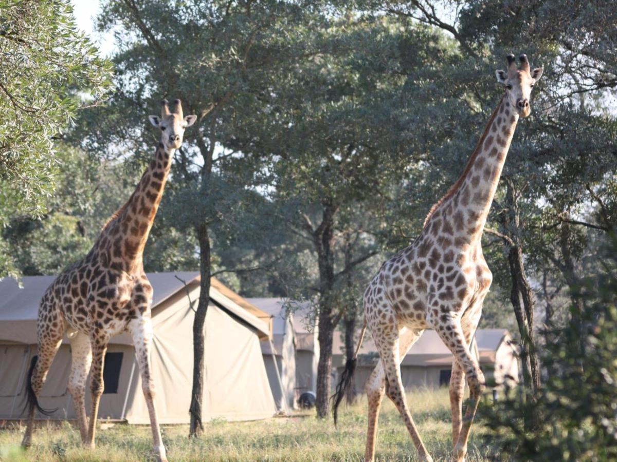 Unyati Safari Lodge Hectorspruit Bagian luar foto