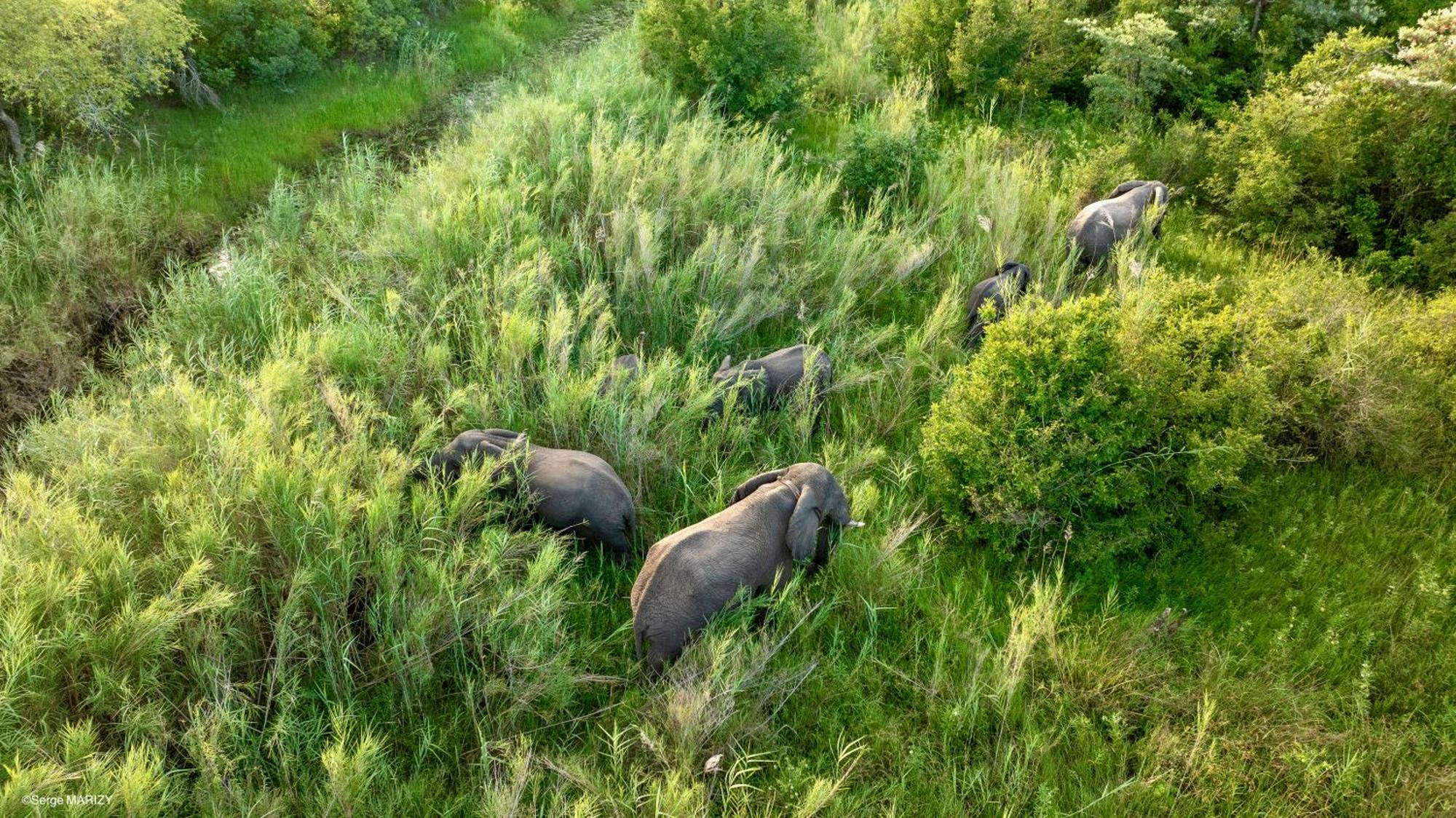 Unyati Safari Lodge Hectorspruit Bagian luar foto